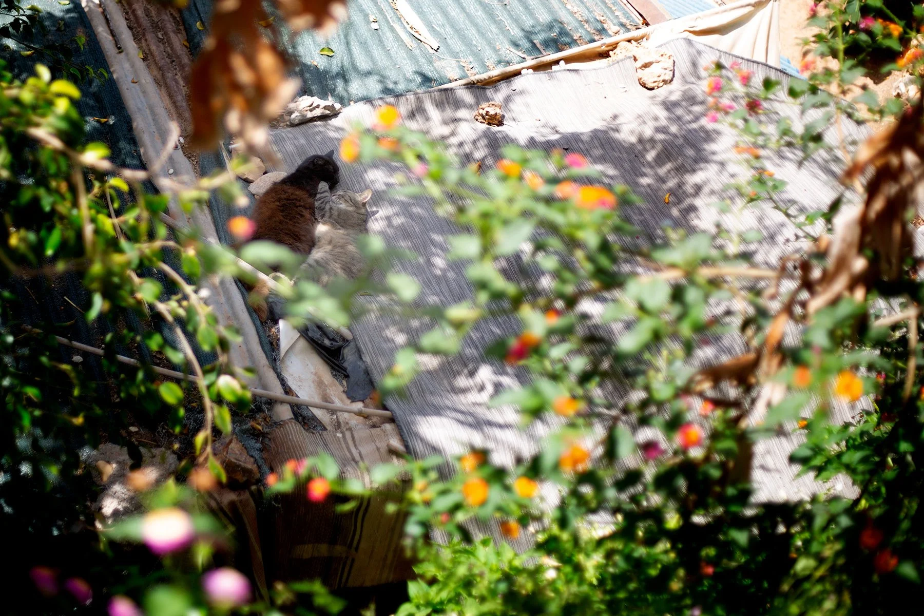 blogg-240524nerja2.jpg