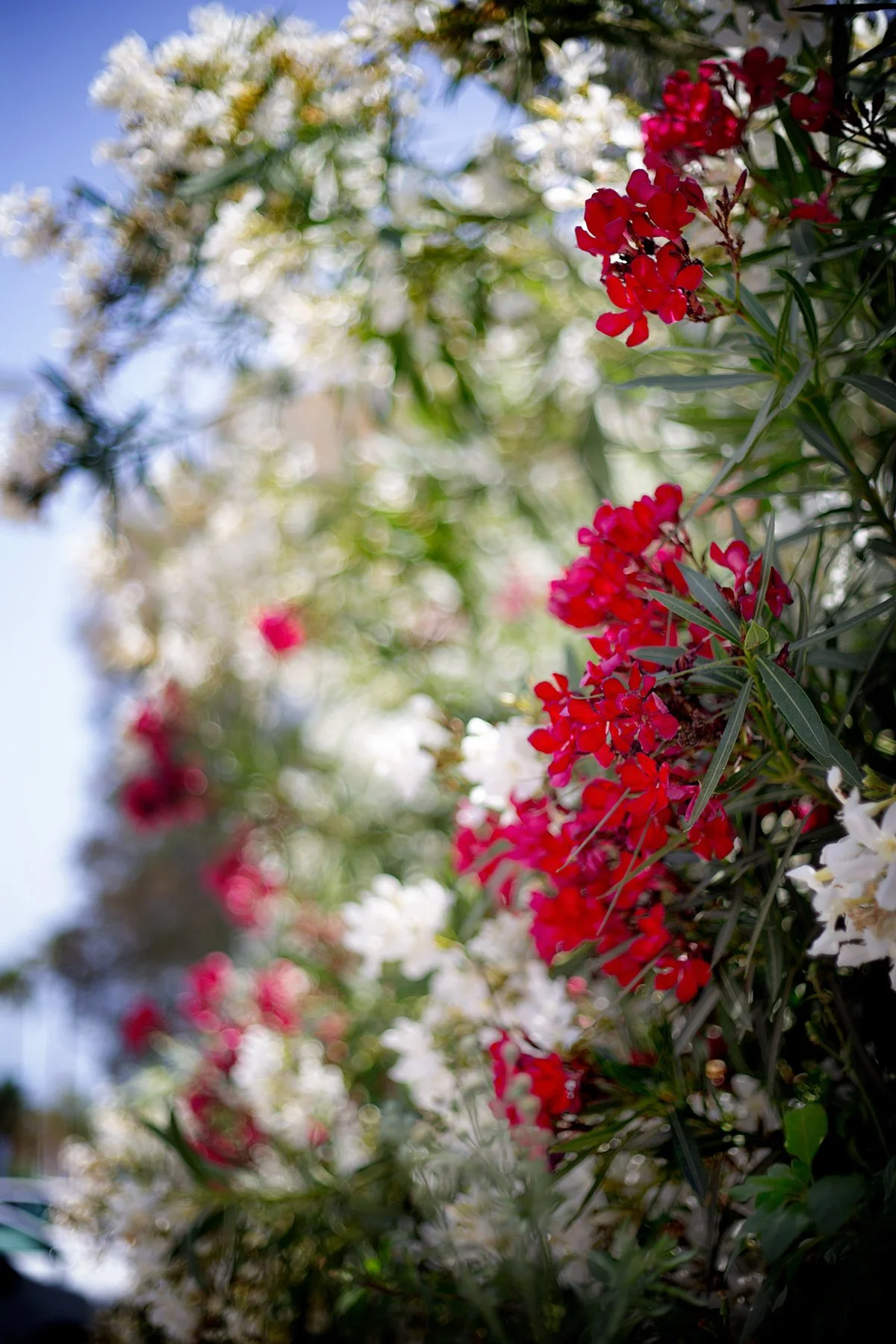 blogg-240524nerja8.jpg