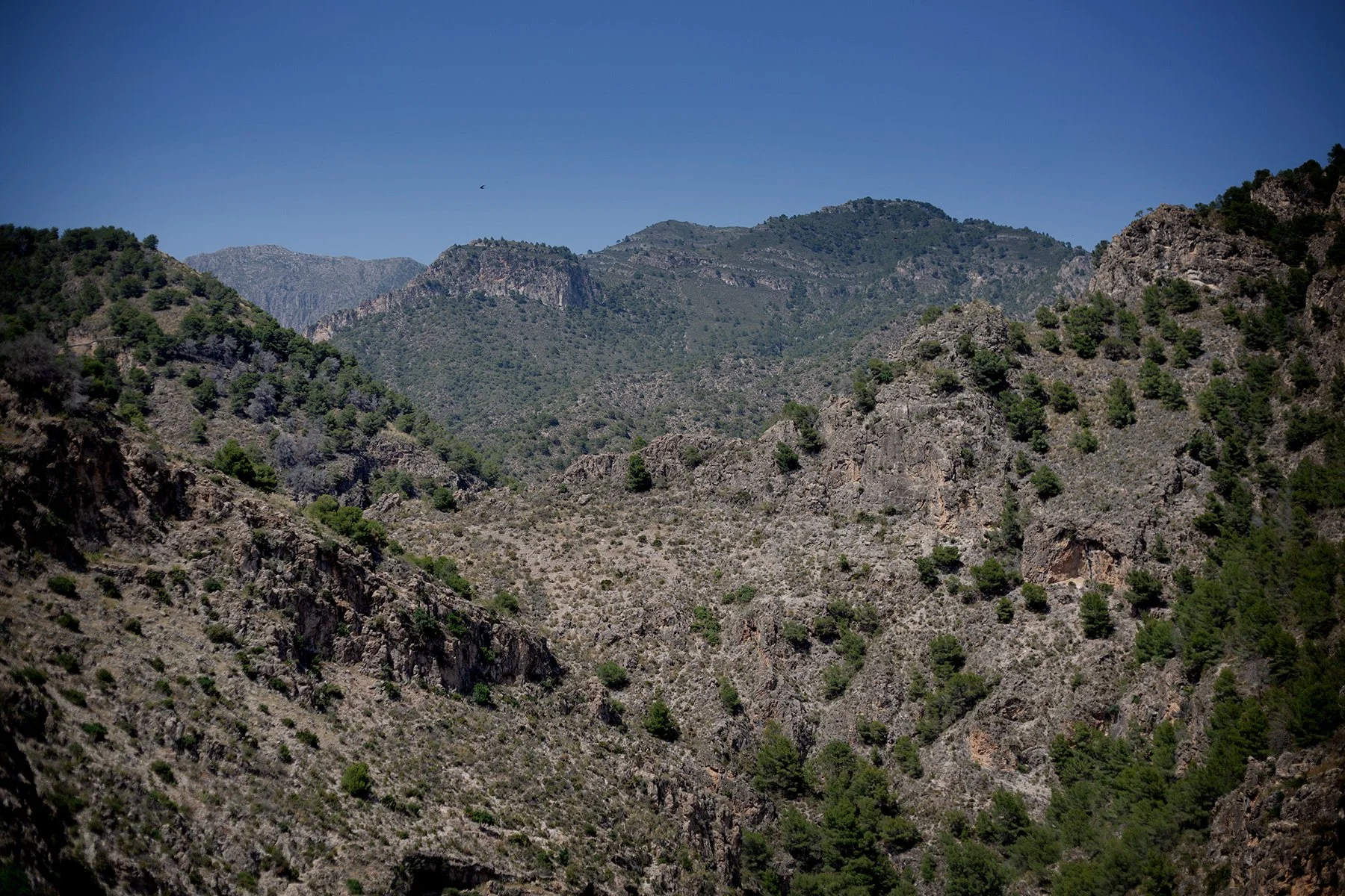blogg-240524frigiliana16.jpg