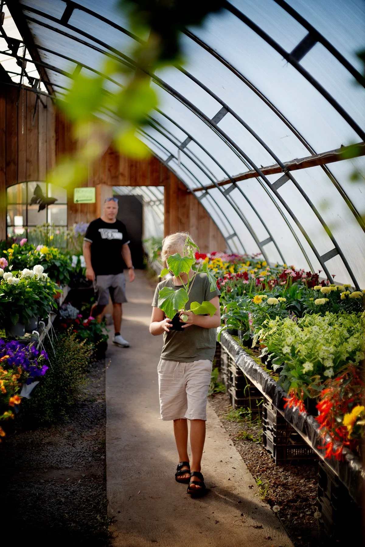 blogg-240602blomsterstugan1.jpg