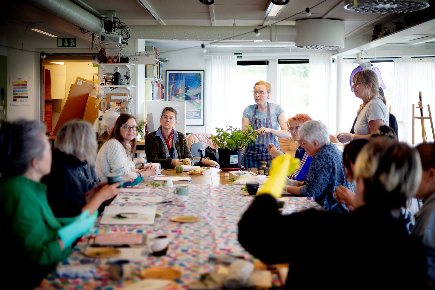 blogg-240608indigokurs5.jpg