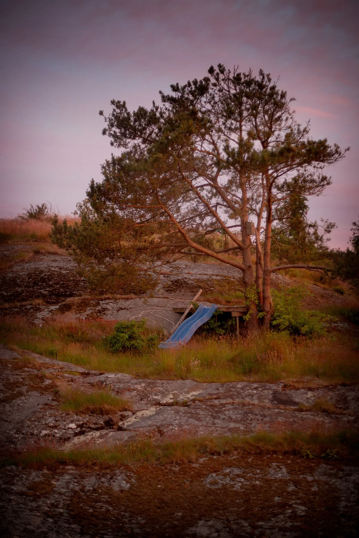 blogg-240621midsommar-tross27.jpg