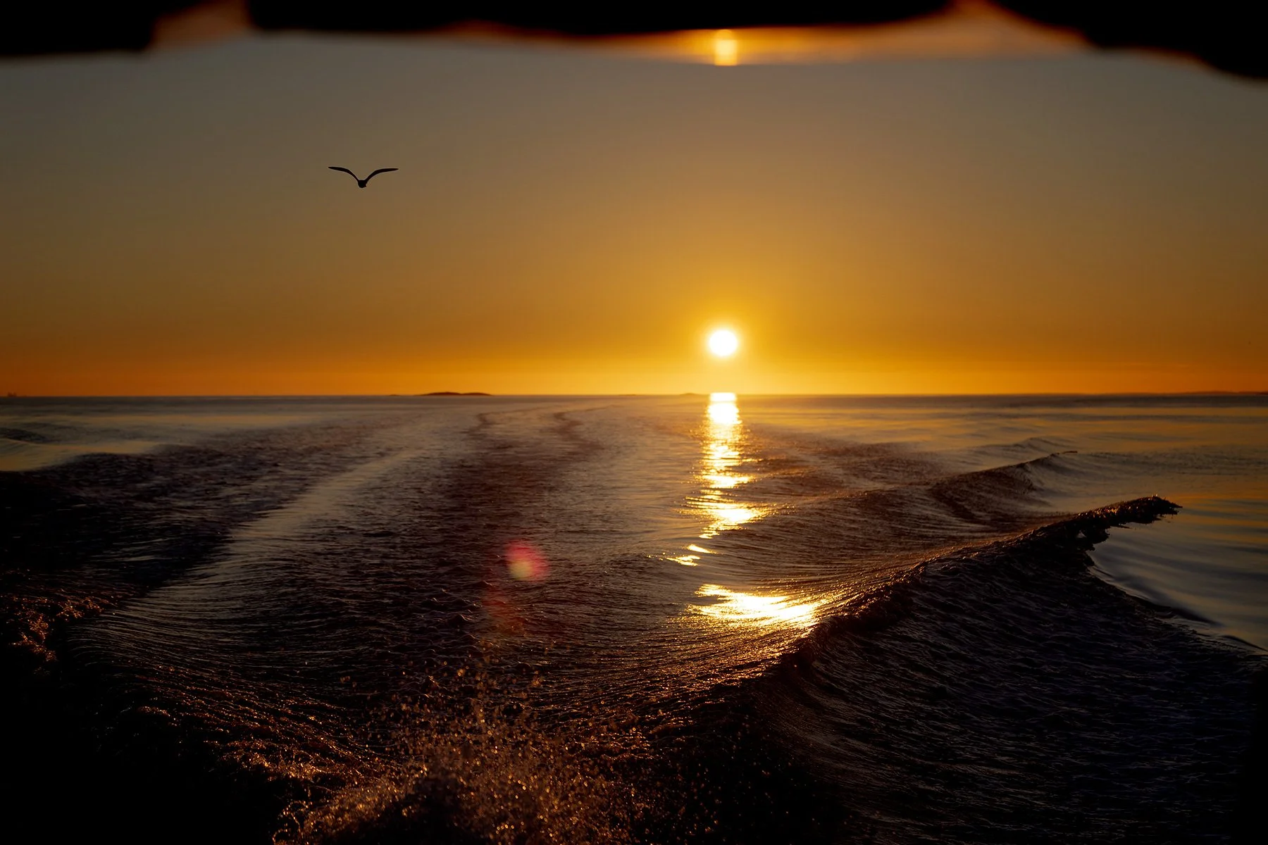 blogg-240625batturkvall26.jpg