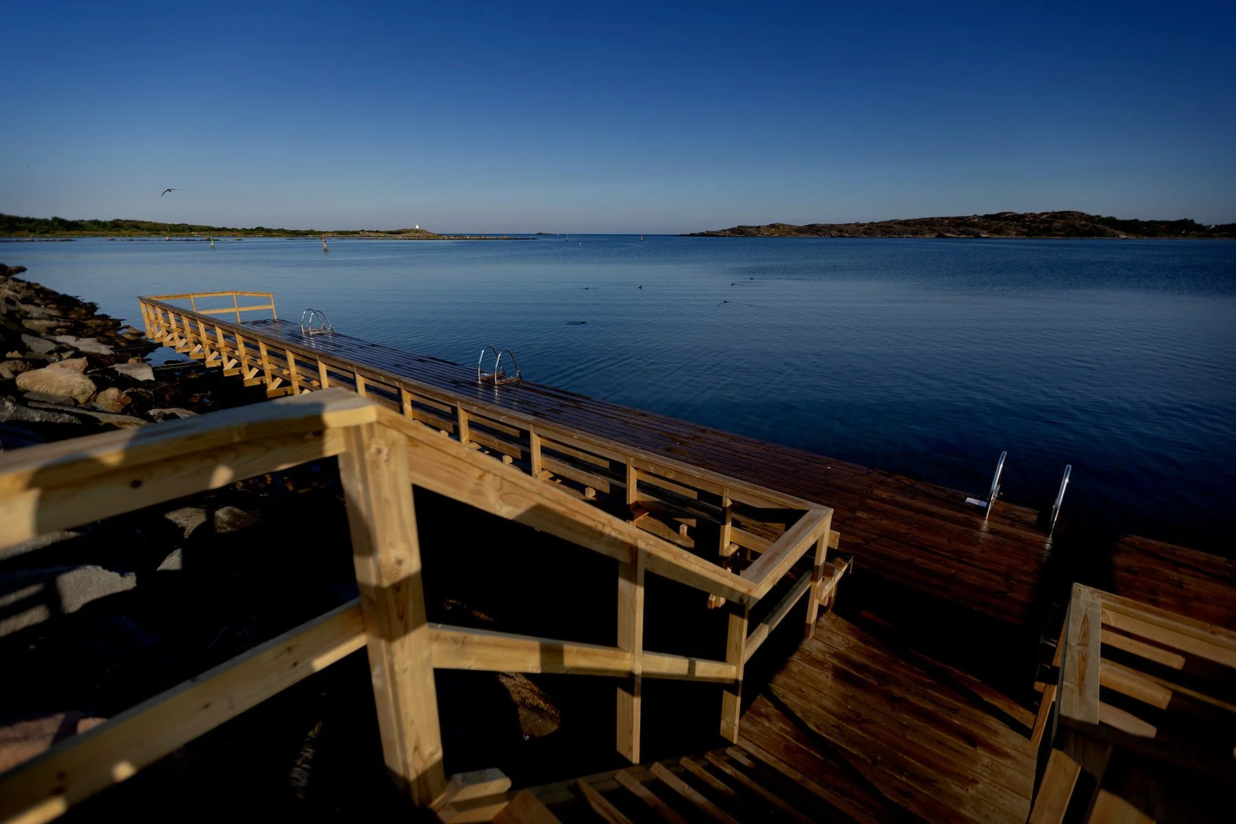 blogg-240626morgondopp6.jpg