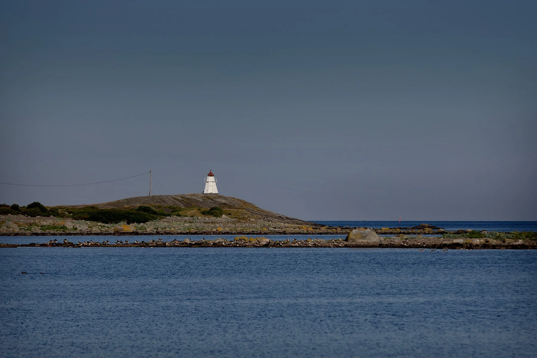 blogg-240626morgondopp8.jpg