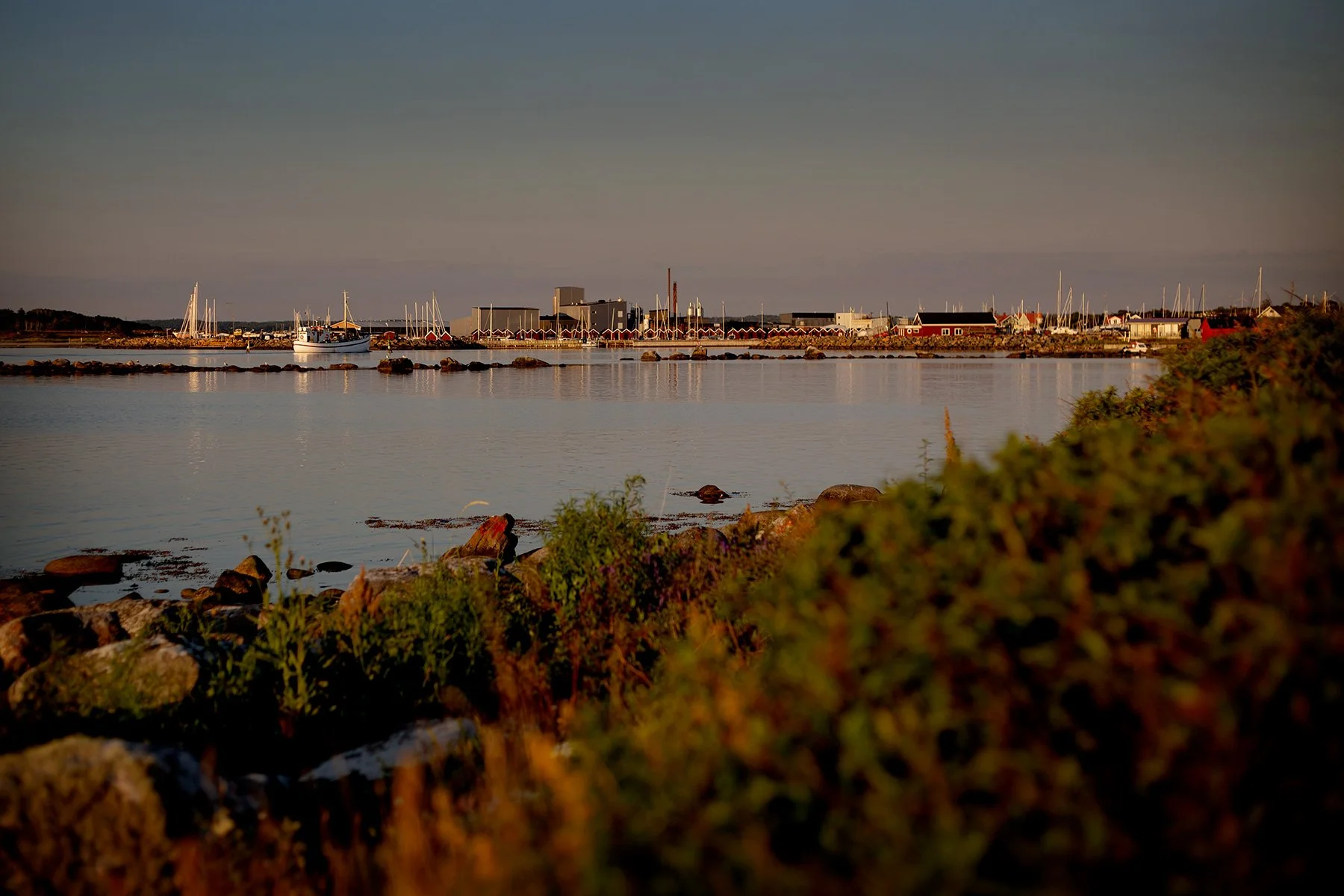 blogg-240626fyrenkvall13.jpg