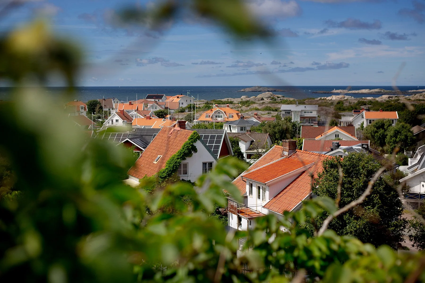 blogg-240702honoklavapromenad1.jpg