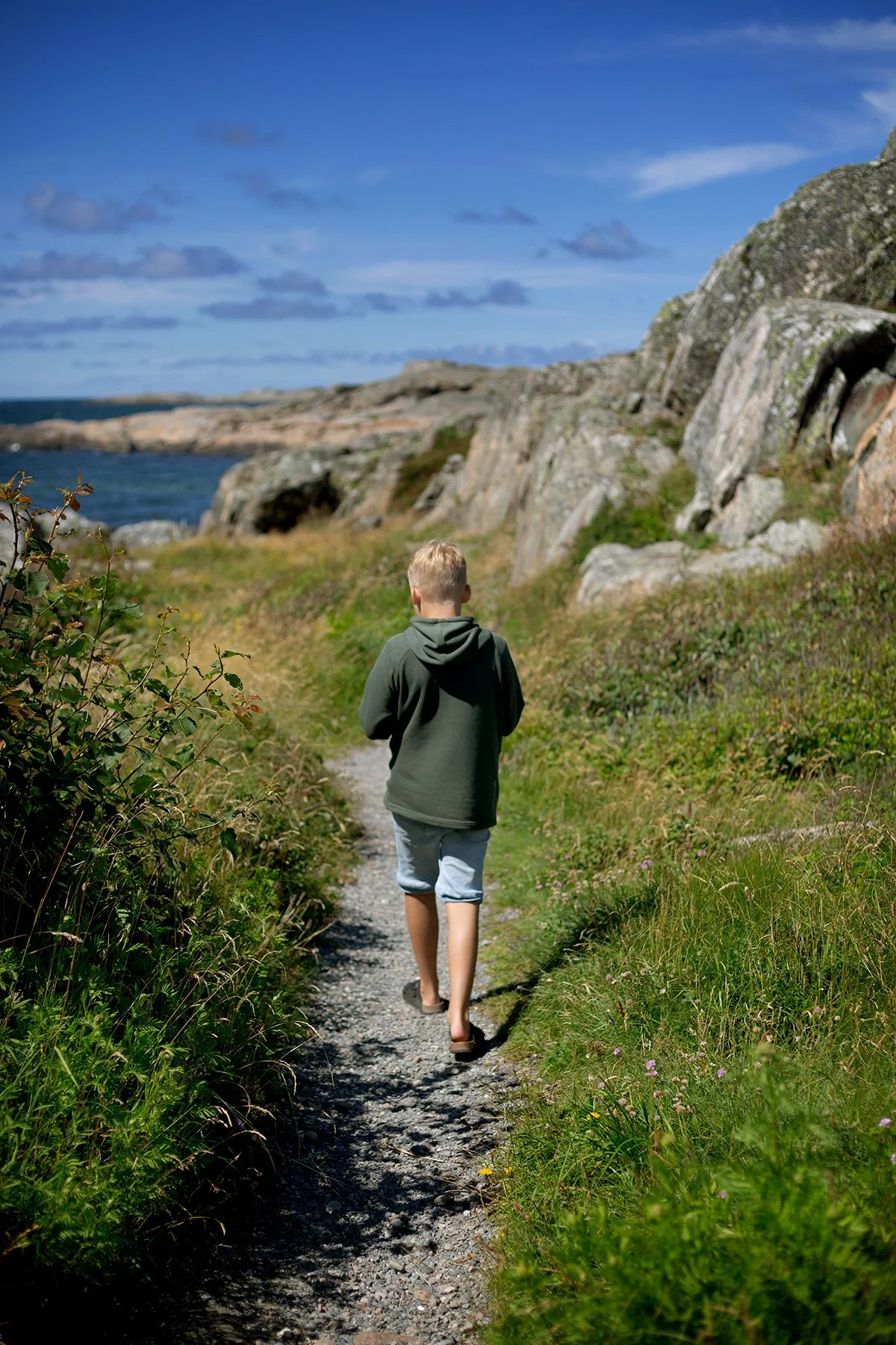 blogg-240702honoklavapromenad8.jpg