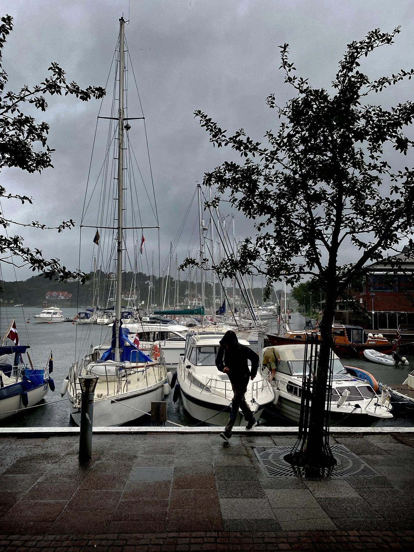 blogg-240704regndagstenungsund6.jpg