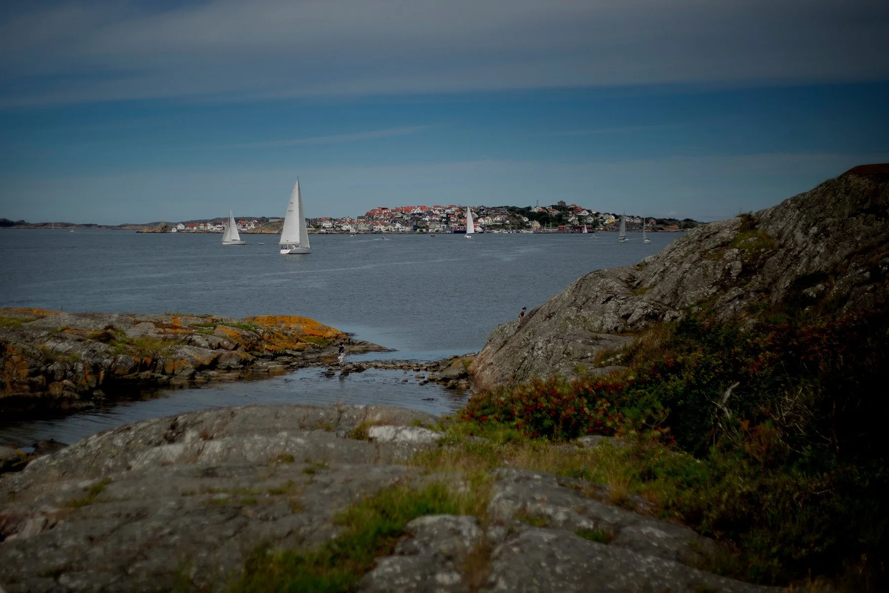 blogg-240709bjorko10.jpg