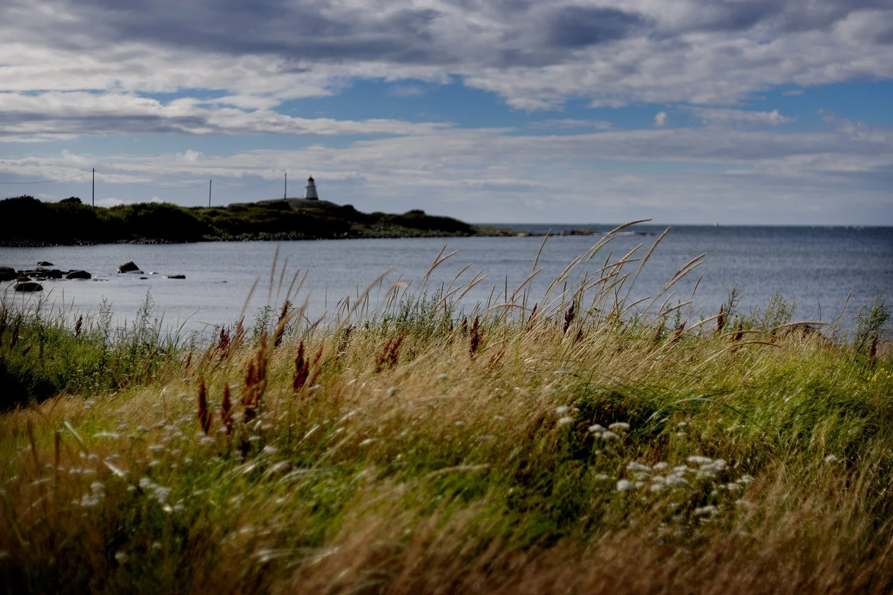 blogg-240715fyrenbertilliam2.jpg