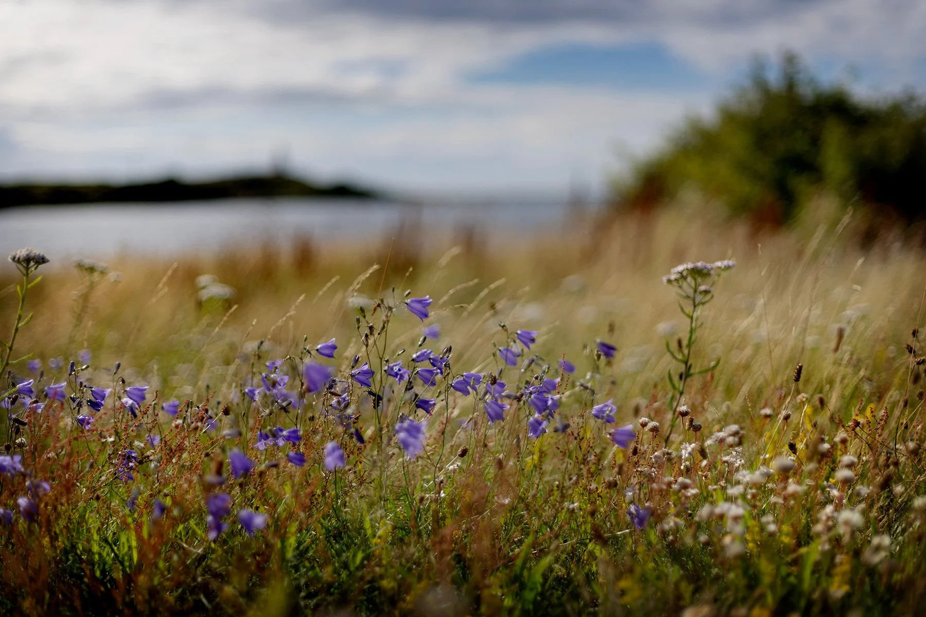 blogg-240715fyrenbertilliam4.jpg