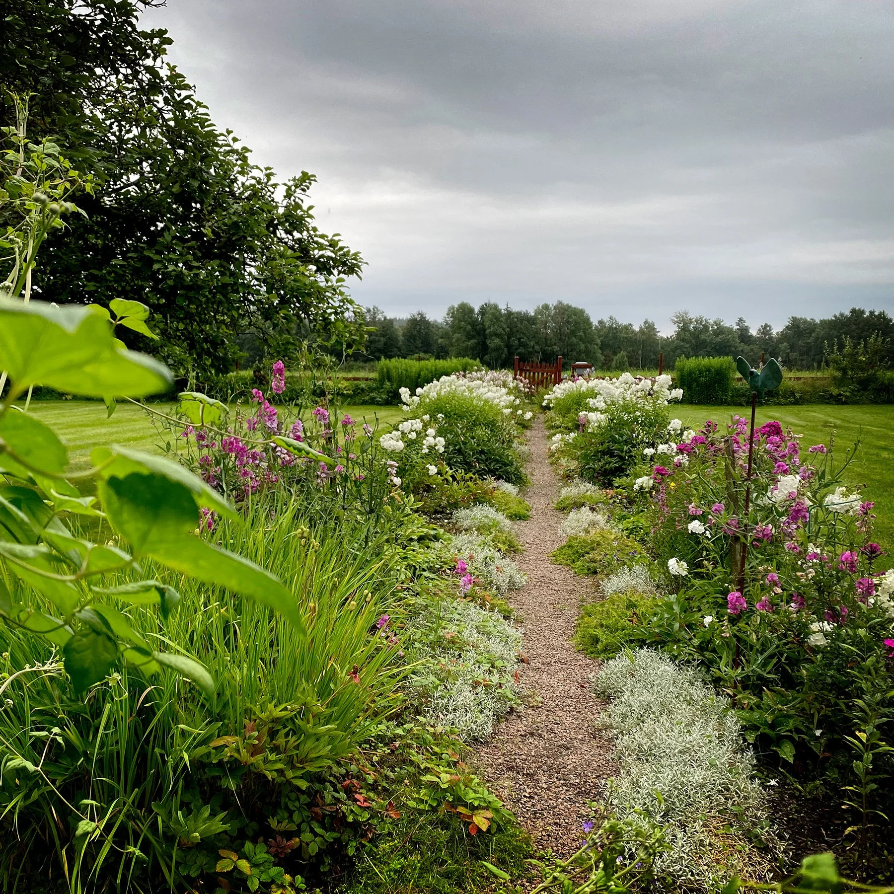 blogg-240723ullaochthord5.jpg