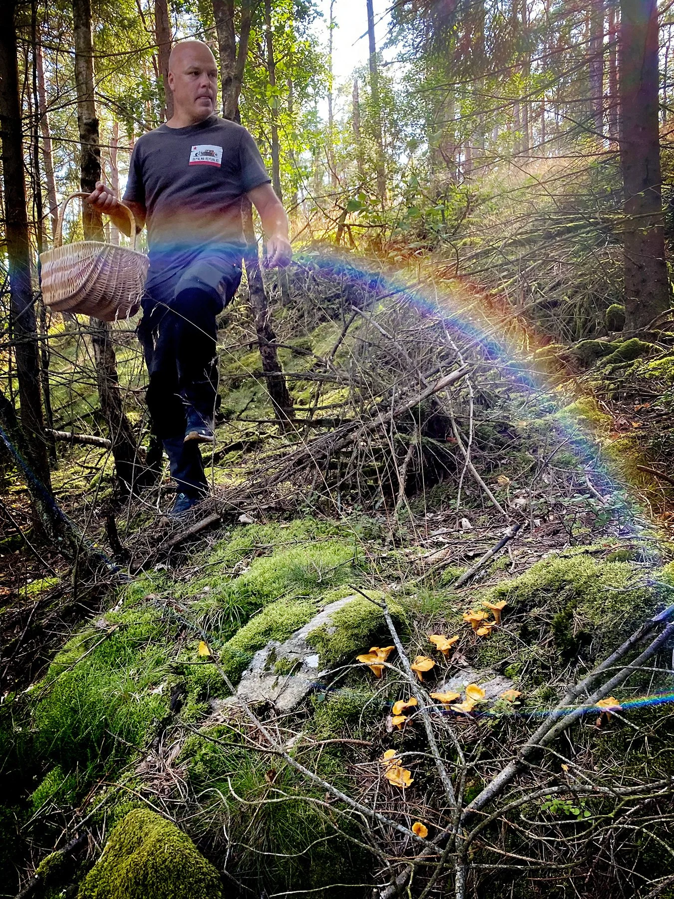 blogg-240724svampskog10.jpg