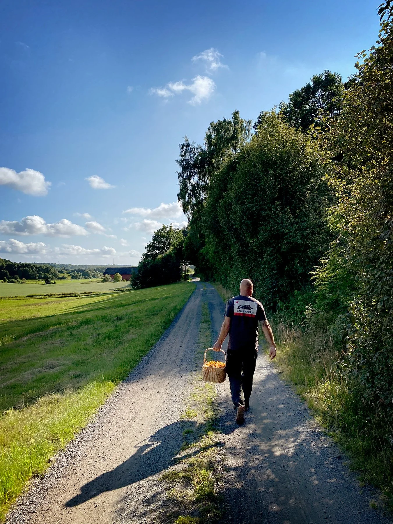blogg-240724svampskog12.jpg