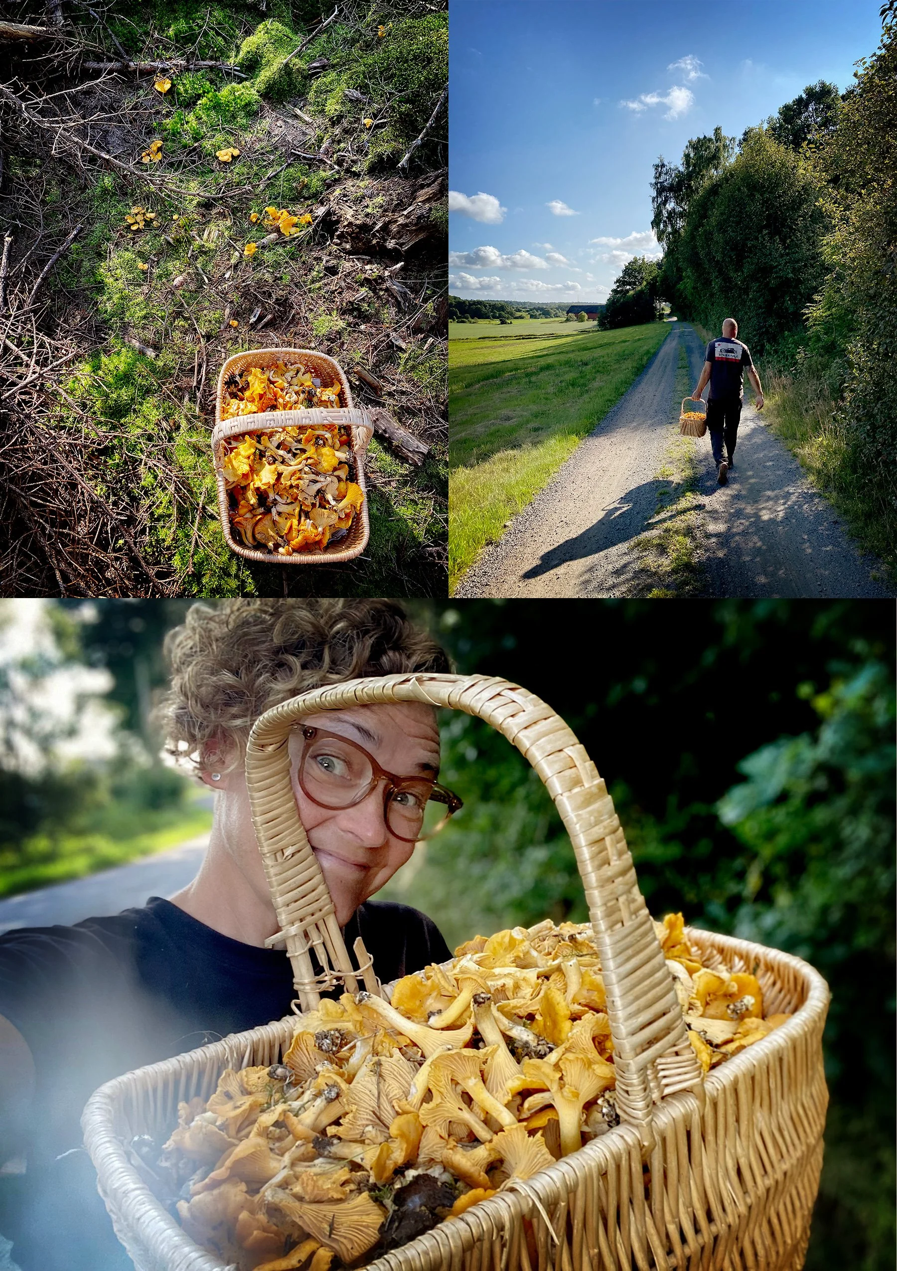 Svampskog