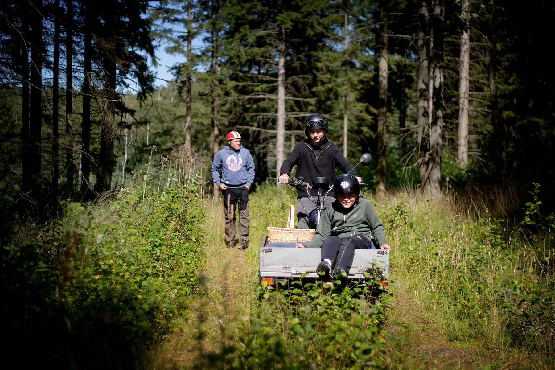 blogg-240731svampskog1.jpg