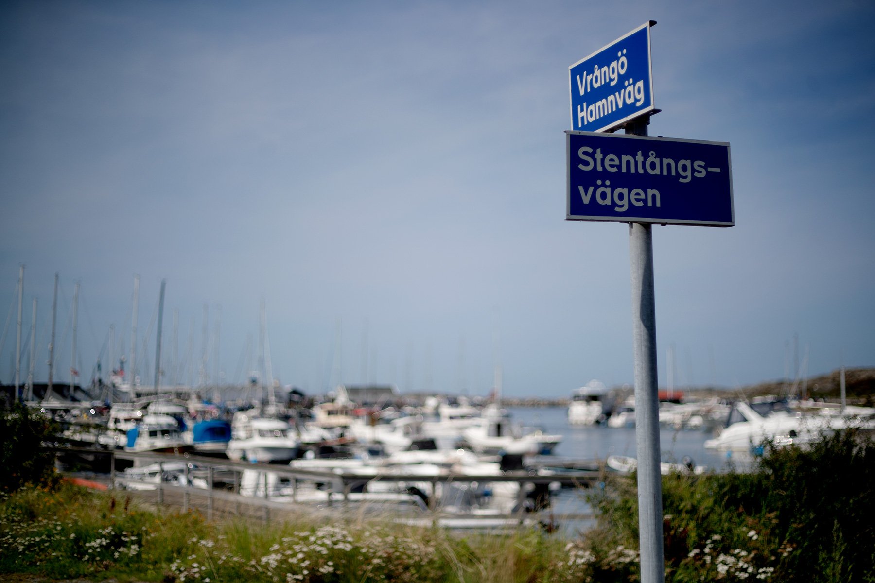 blogg-240801vrango5.jpg