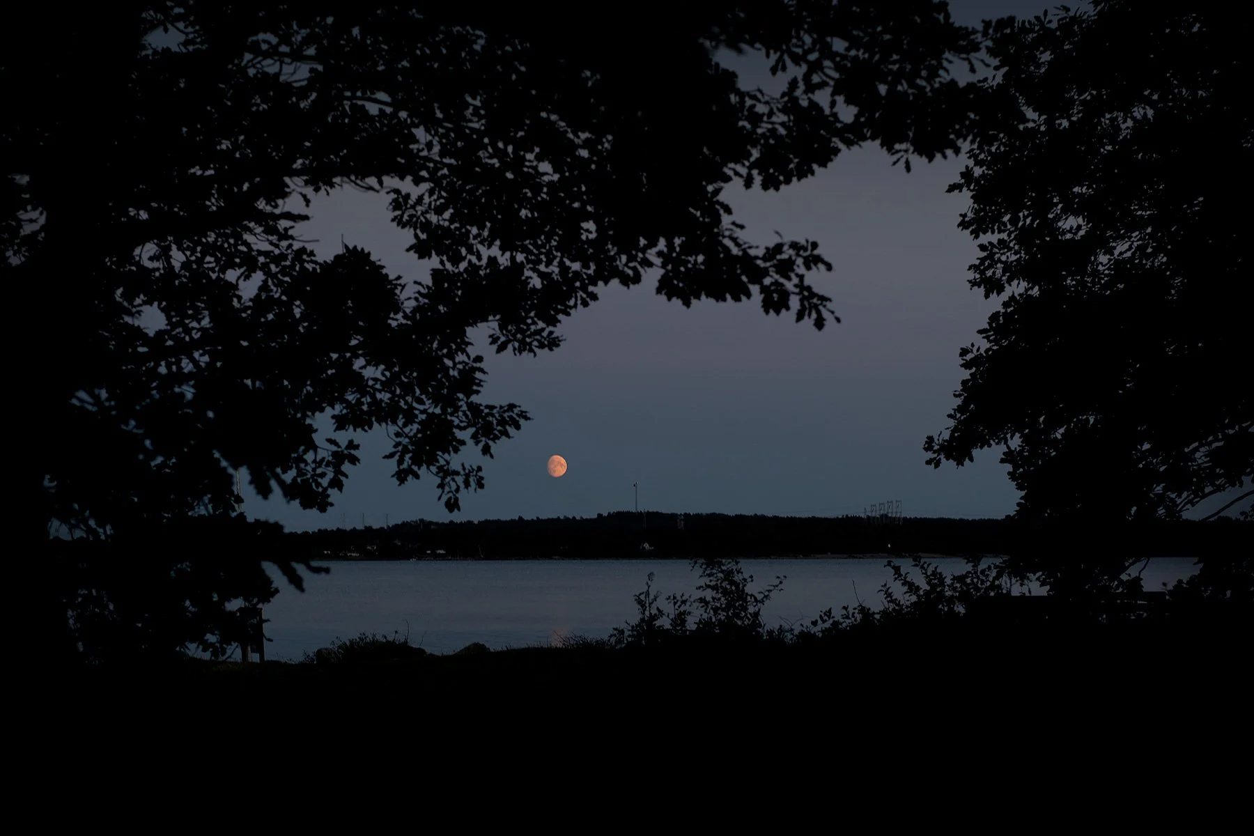 blogg-240816vendelso16.jpg
