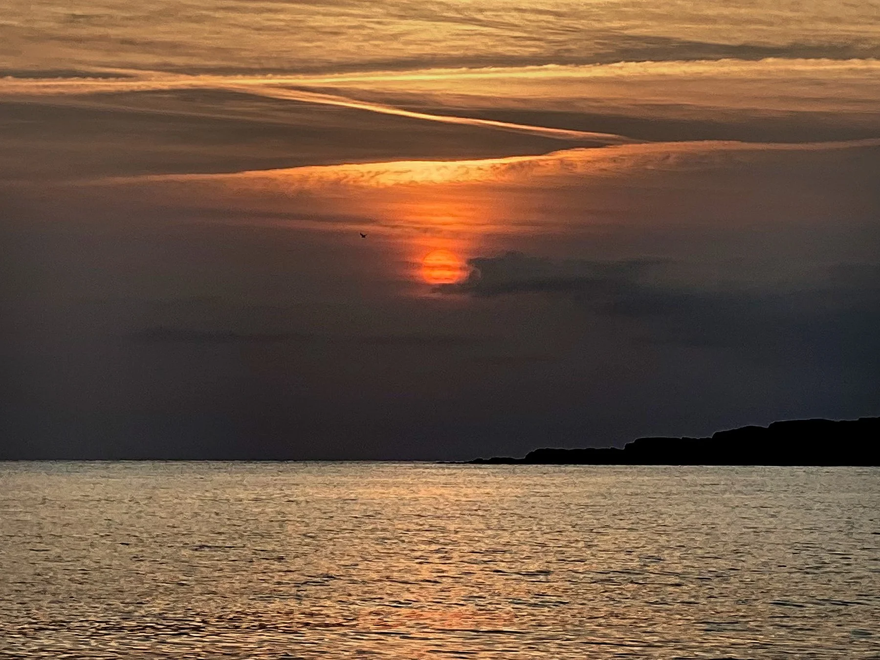 blogg-240819bogseringavnordsvahns3.jpg