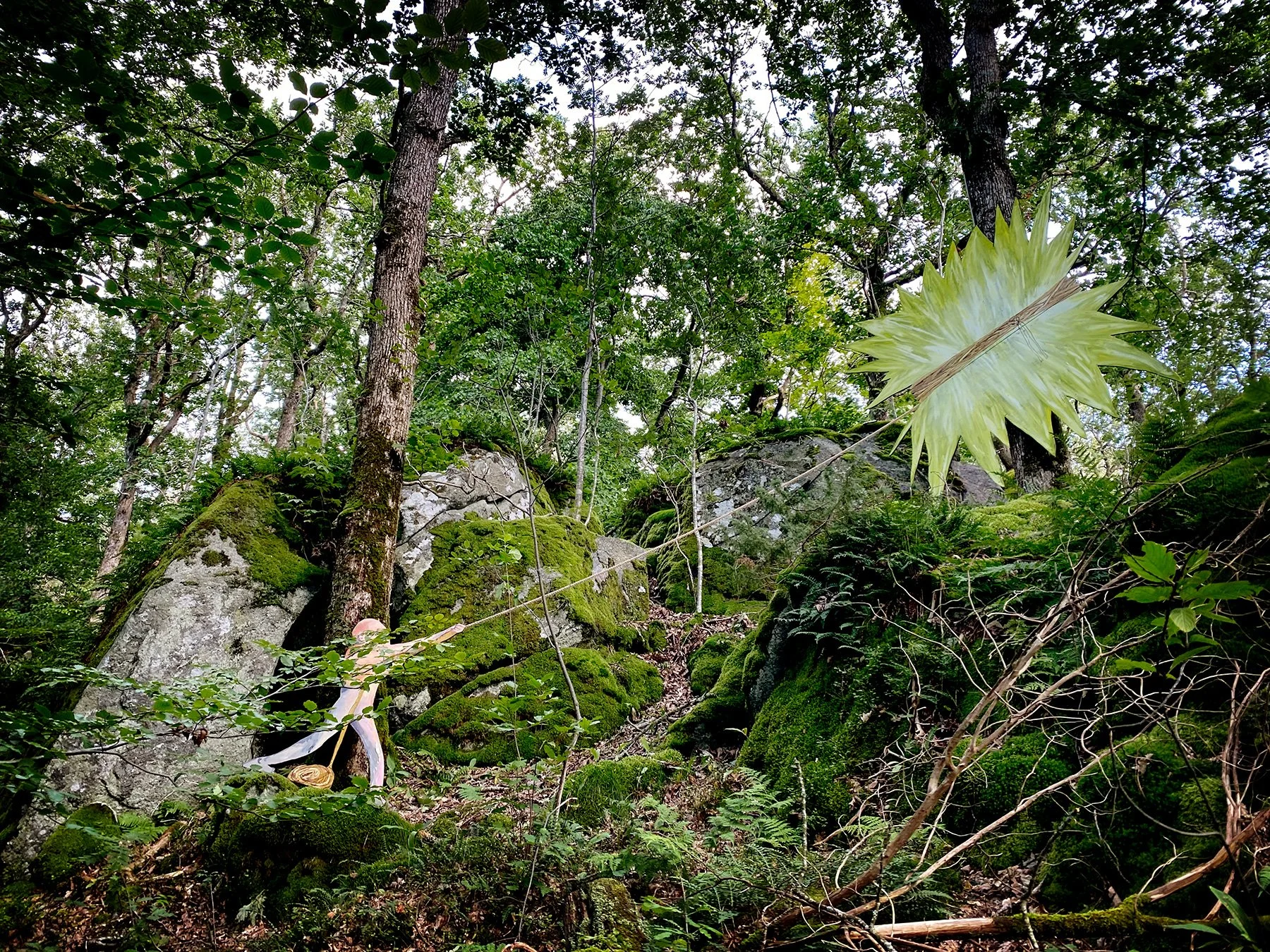blogg-240825tjoloholm4.jpg