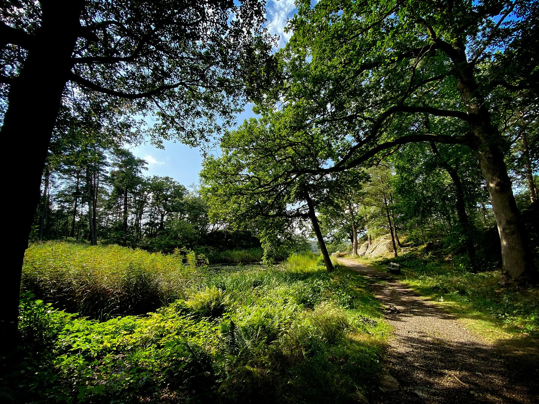 blogg-240825tjoloholm7.jpg