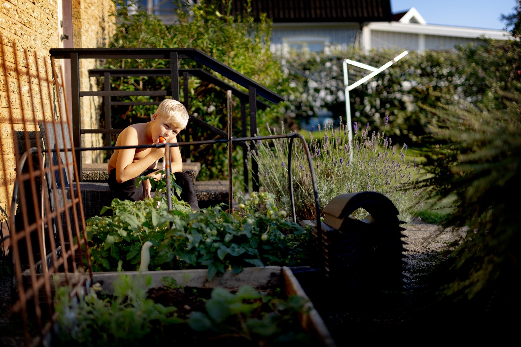 blogg-240828tradgardskvall4.jpg