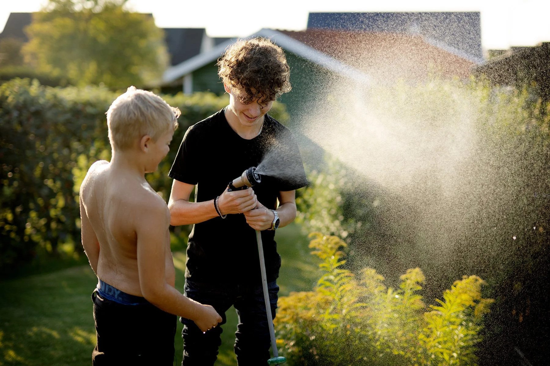 blogg-240828tradgardskvall10.jpg