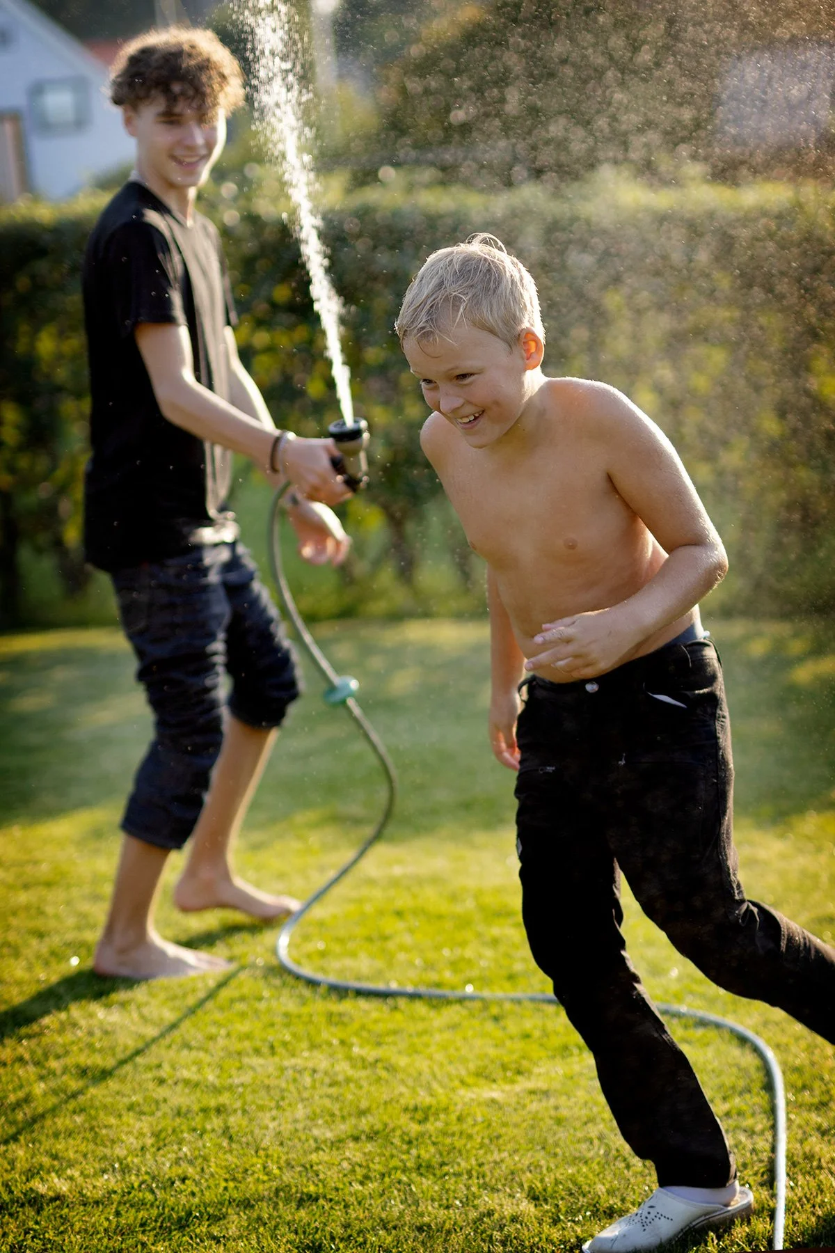 blogg-240828tradgardskvall17.jpg