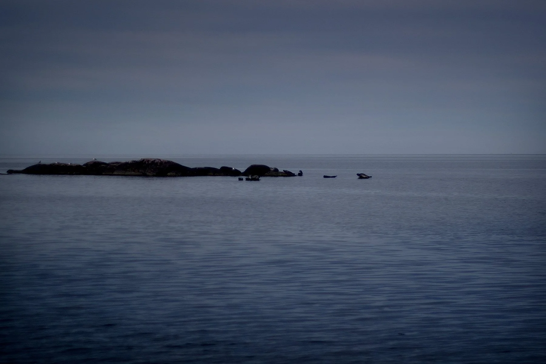 blogg-240901hemfranvarberg6.jpg