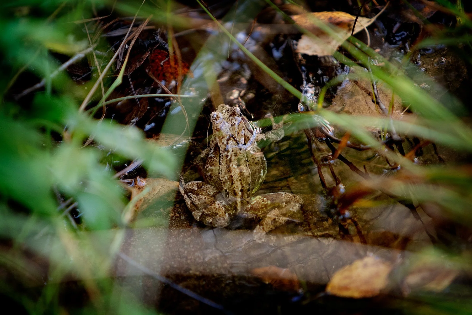 blogg-240907orienteringrigor4.jpg