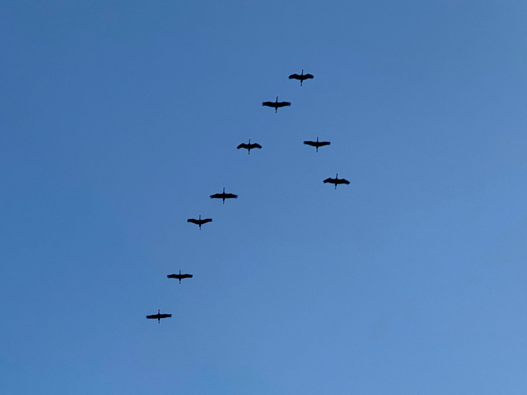 blogg-240911veddigevag2.jpg