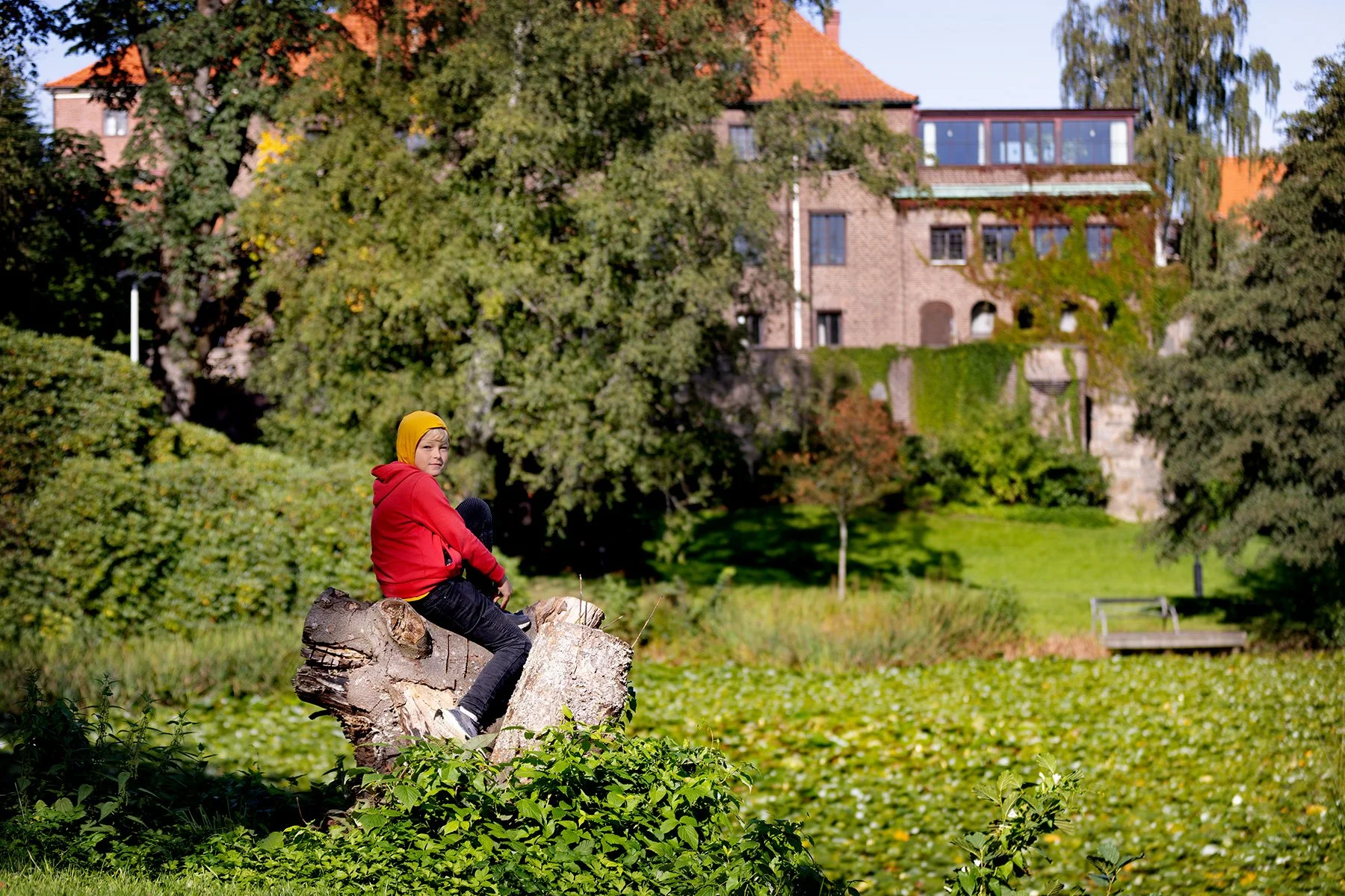 blogg-240915bertilnackrosdammen2.jpg