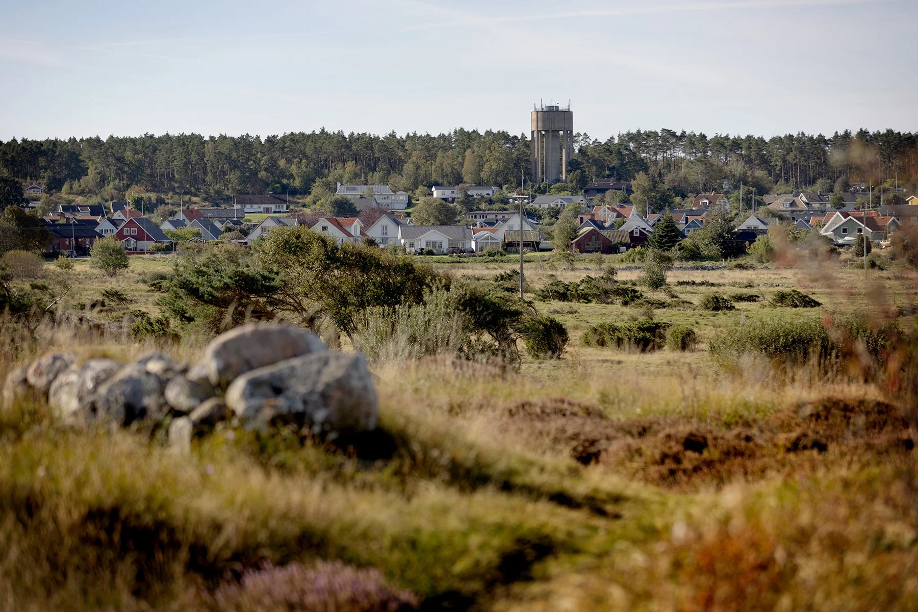 blogg-240917balepromenad7.jpg