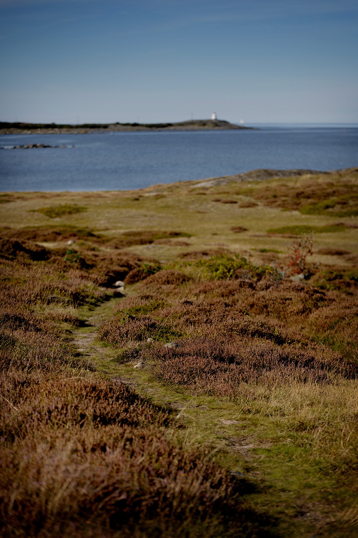 blogg-240917balepromenad11.jpg