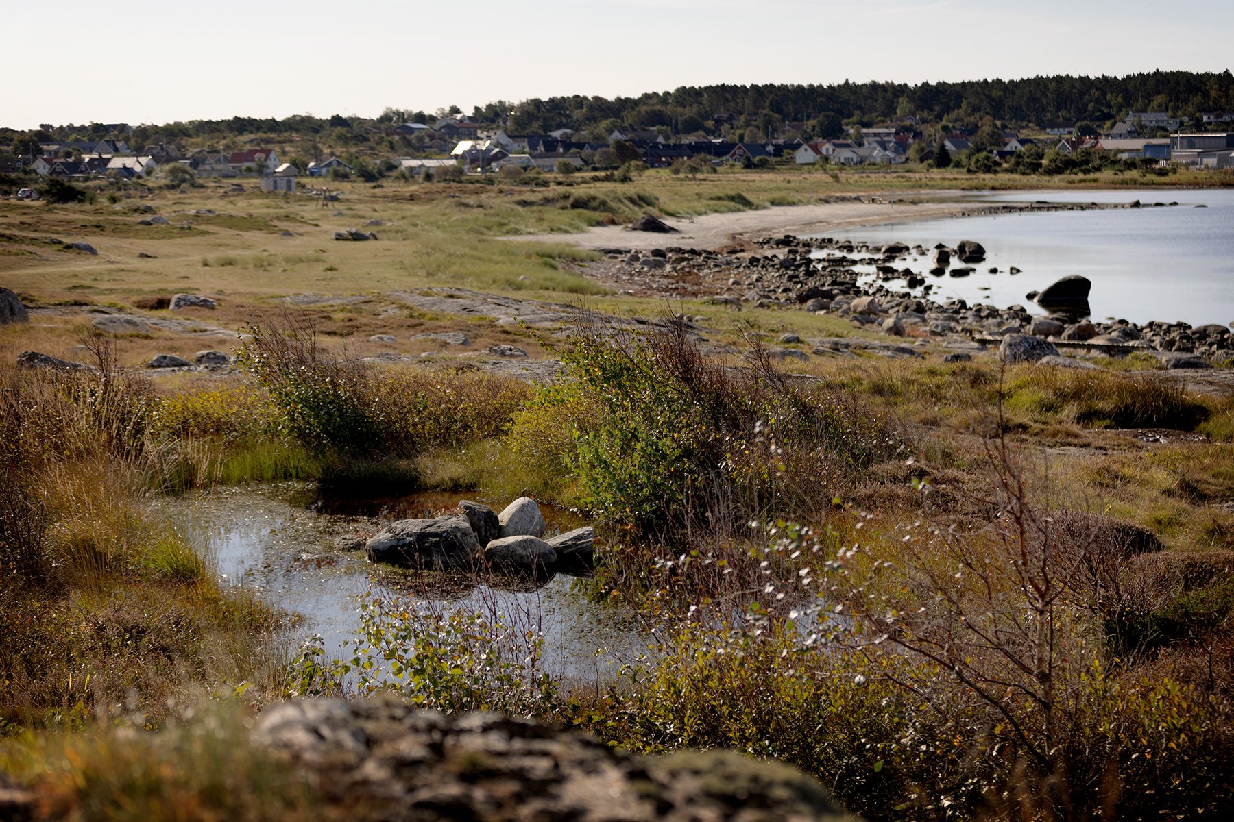 blogg-240917balepromenad13.jpg