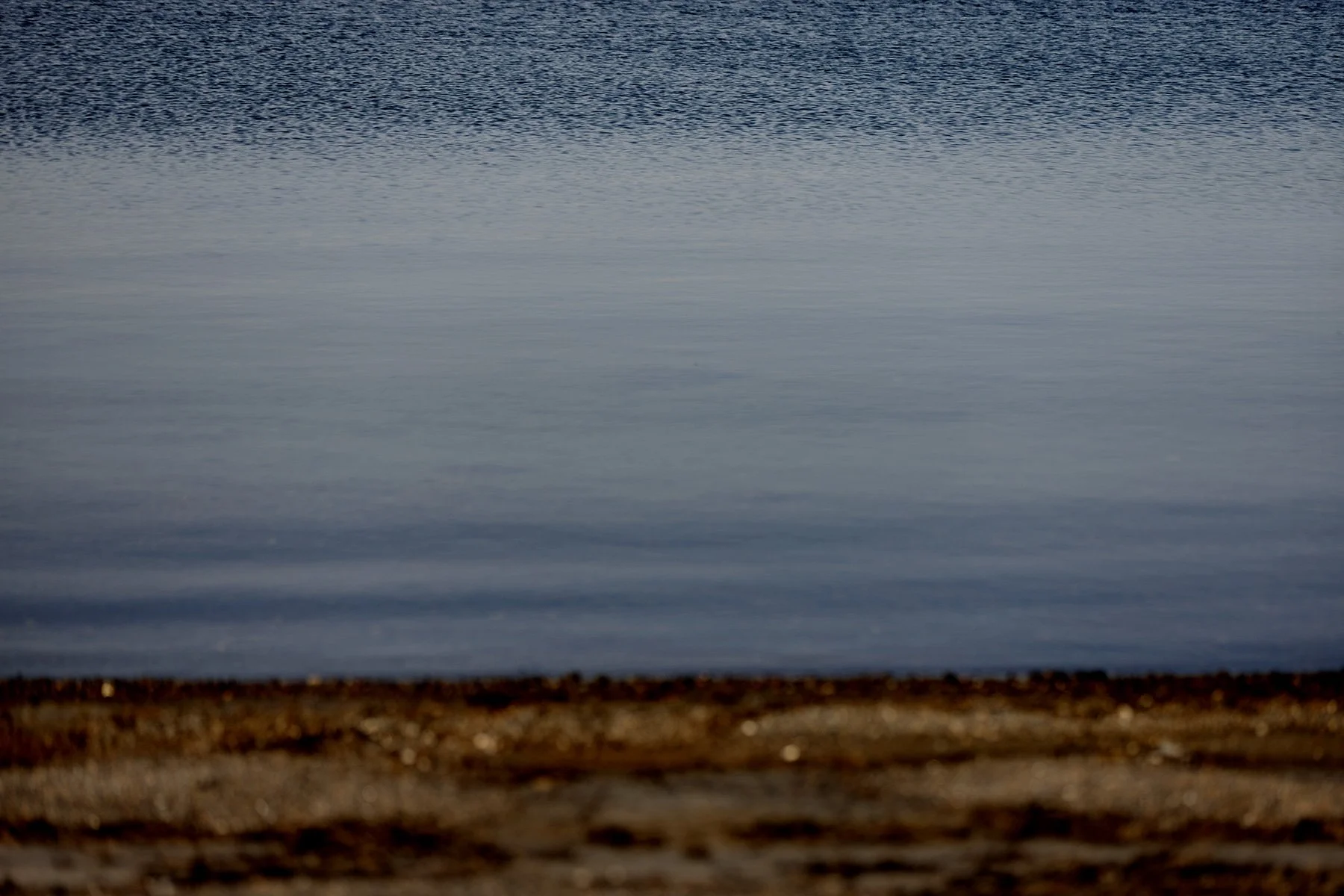 blogg-240917balepromenad15.jpg