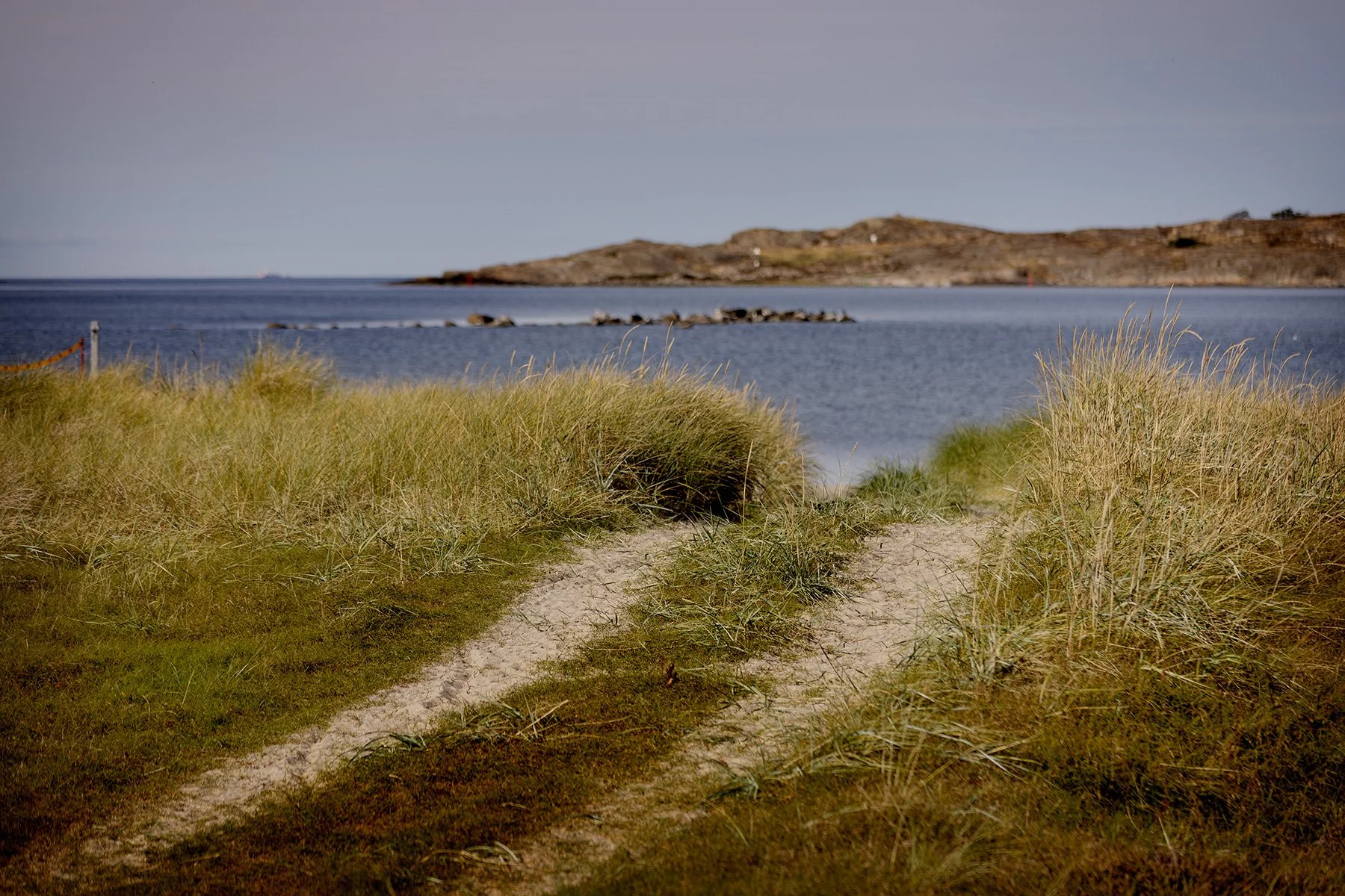 blogg-240917balepromenad21.jpg