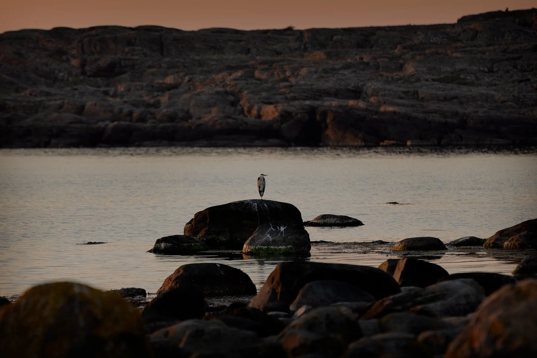 blogg-240920fyrenkvallsdopp9.jpg