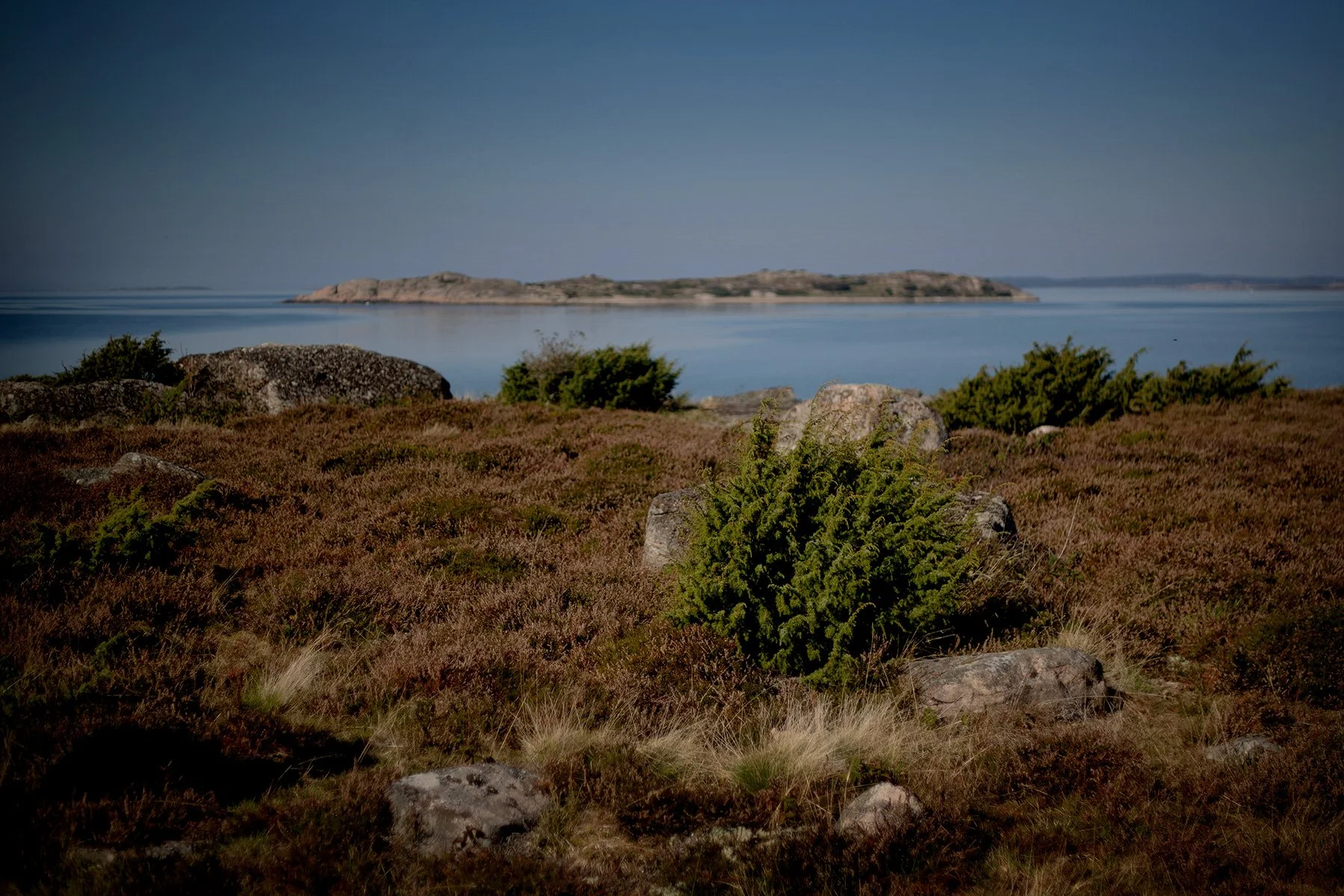 blogg-240921vendelso10.jpg