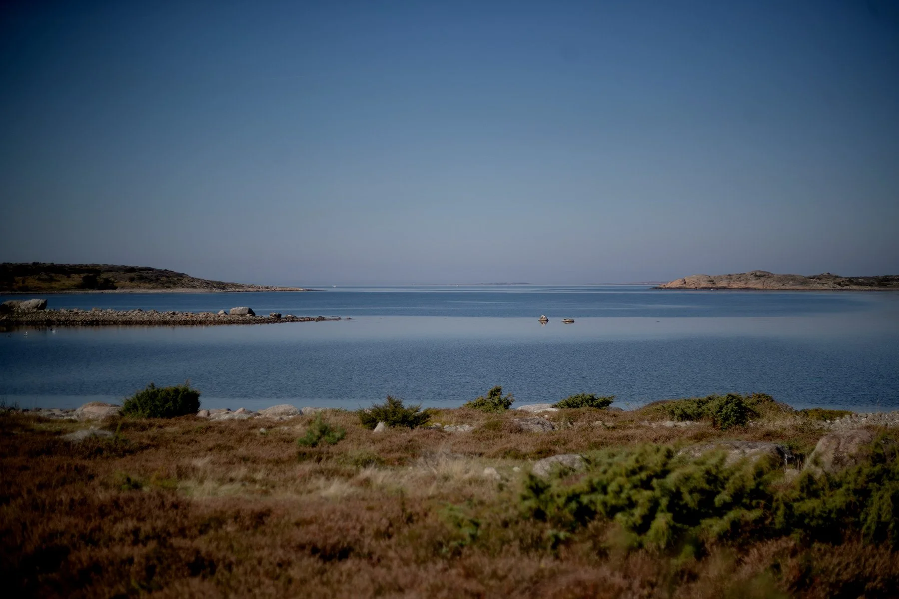 blogg-240921vendelso12.jpg