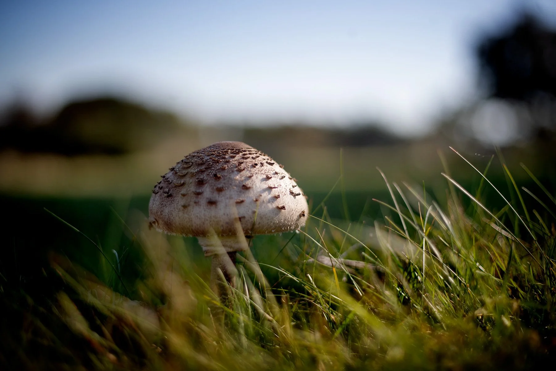 blogg-240921vendelso22.jpg