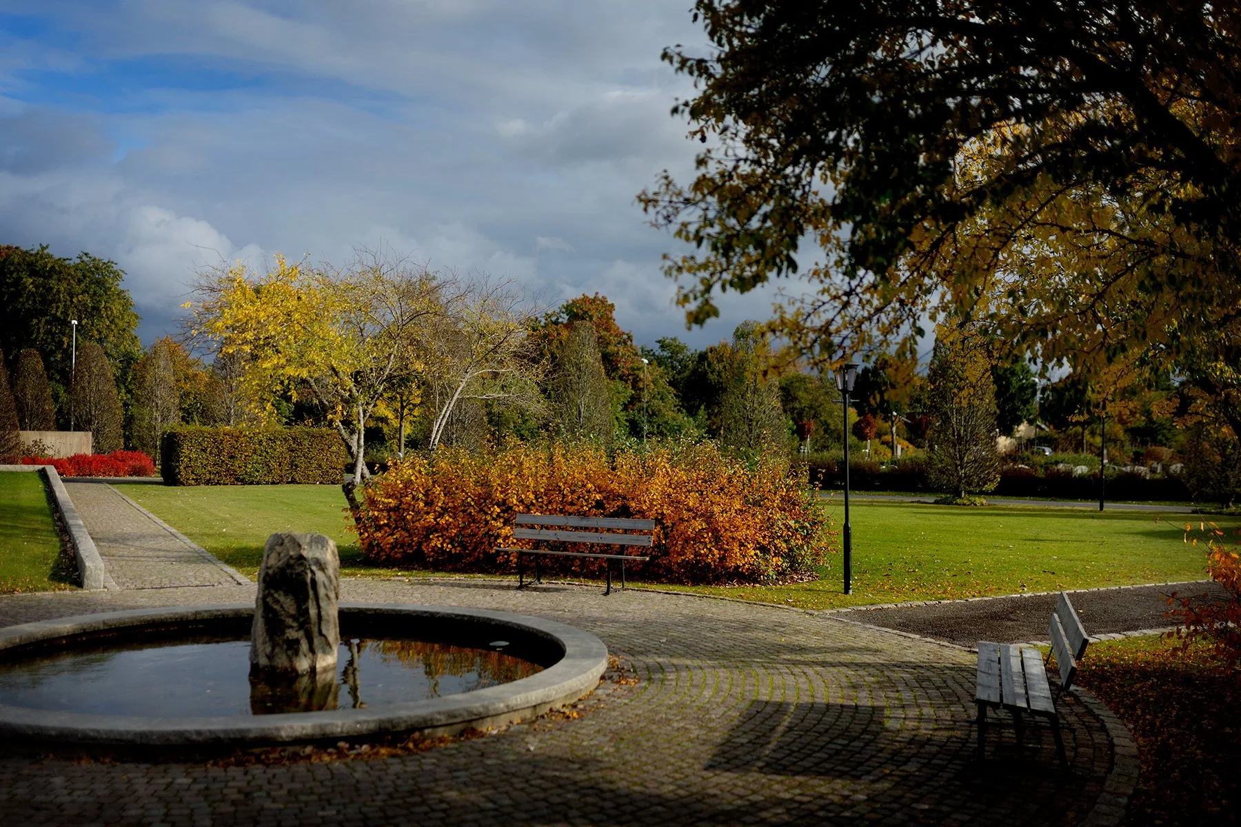 blogg-241013veddigekyrkogard2.jpg