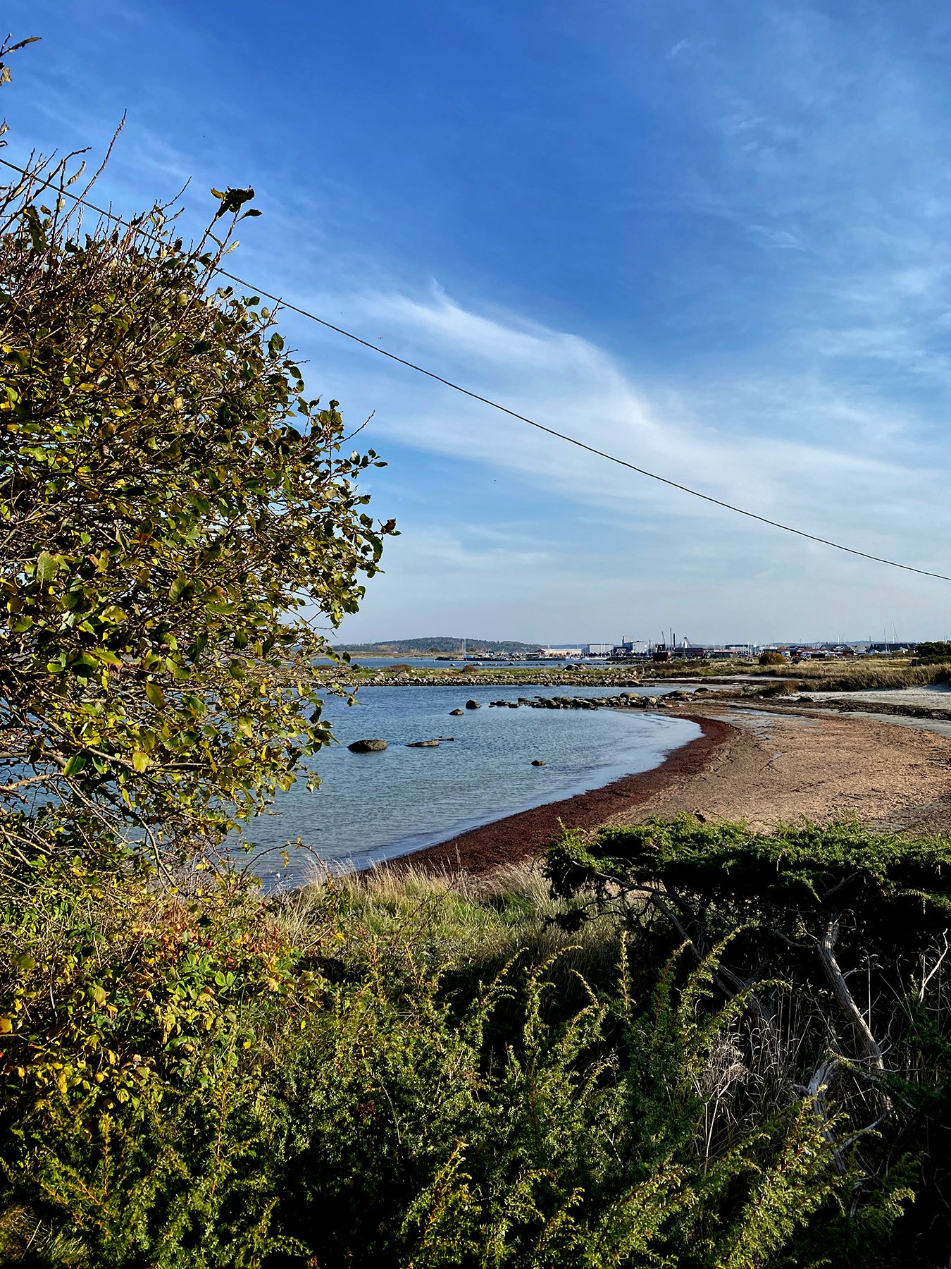blogg-241019bertilpromenadfyren1.jpg