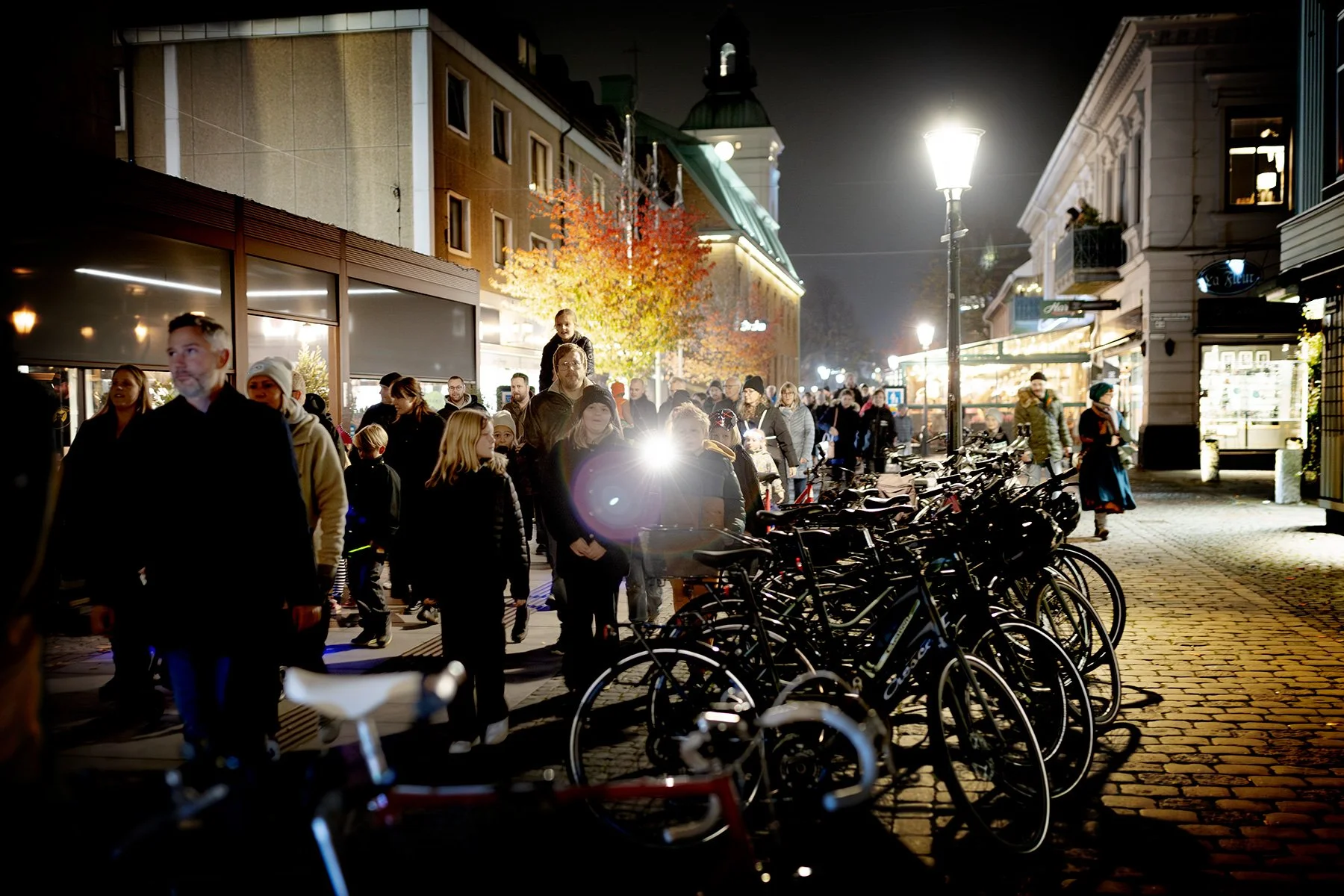 blogg-241025rysochmys5.jpg
