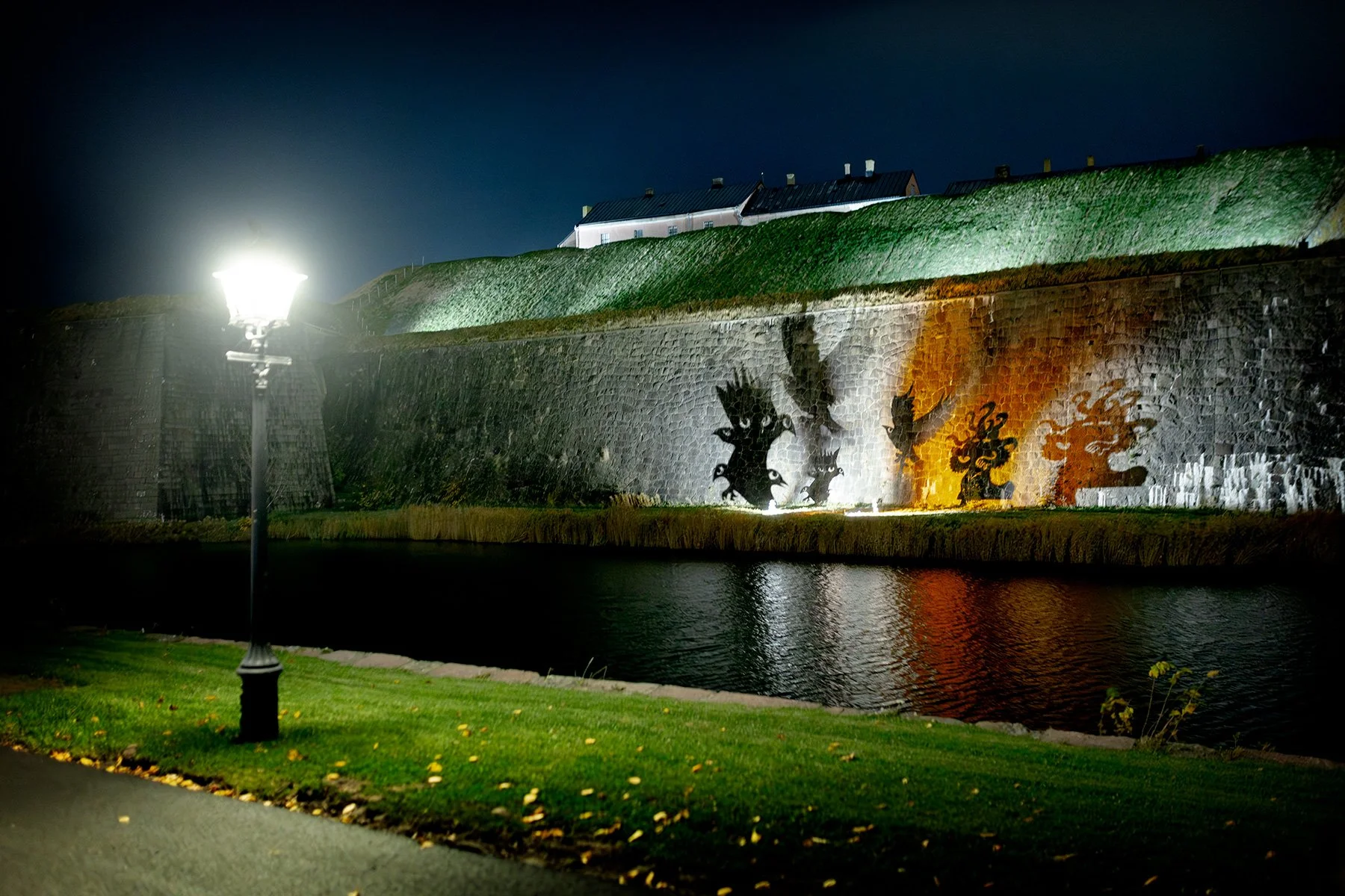blogg-241025rysochmys10.jpg