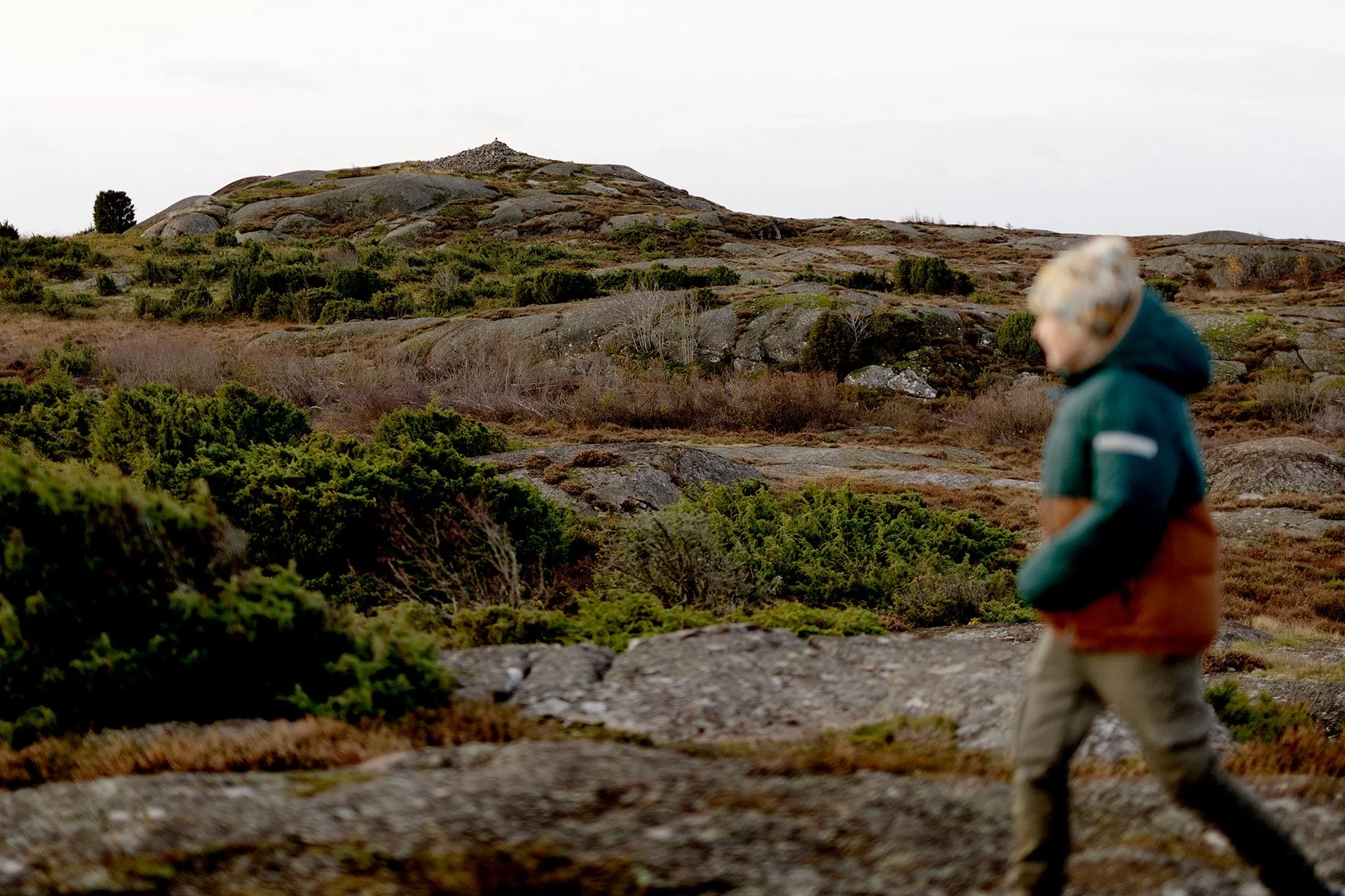 blogg-241030gamlavarberg4.jpg