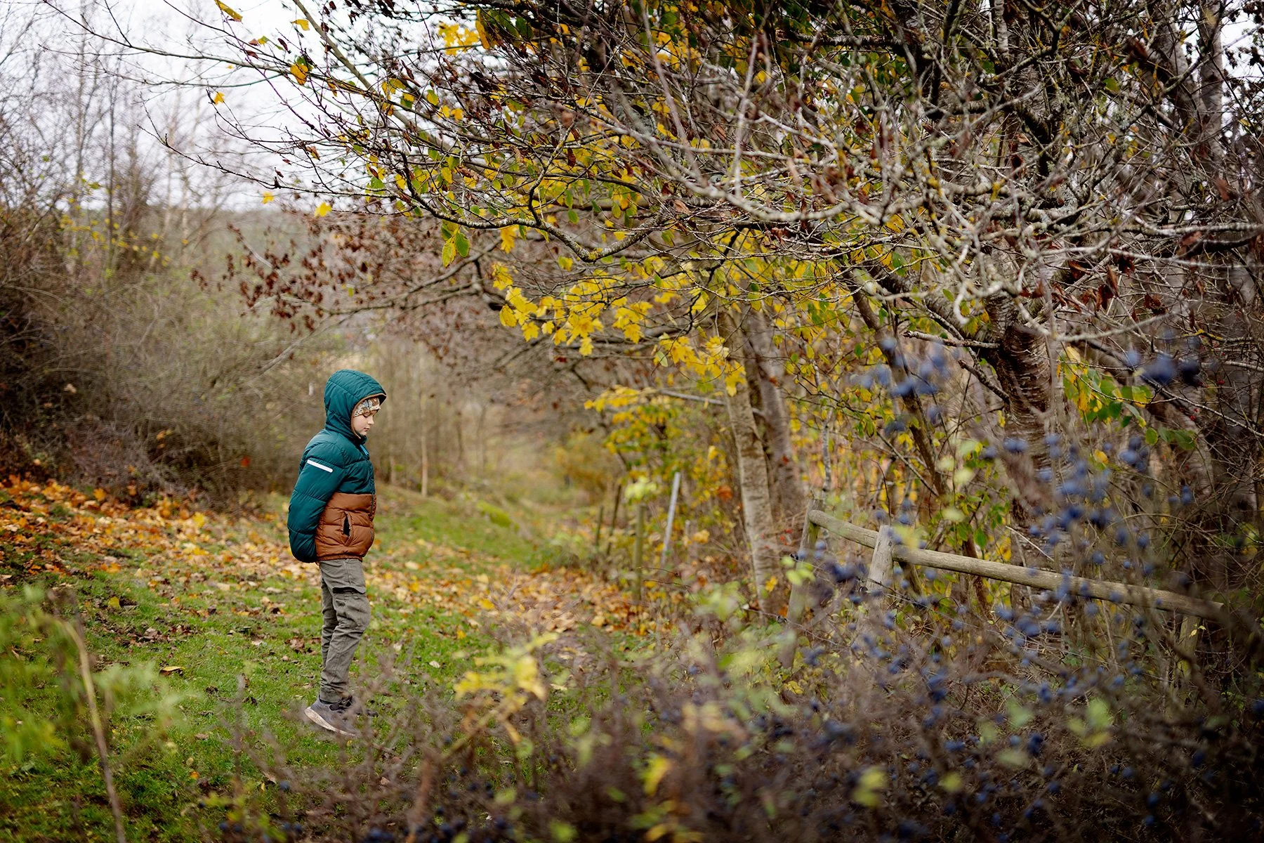 blogg-241030gamlavarberg23.jpg
