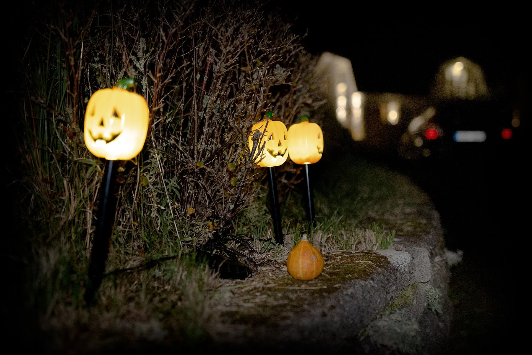 blogg-241031halloween2.jpg