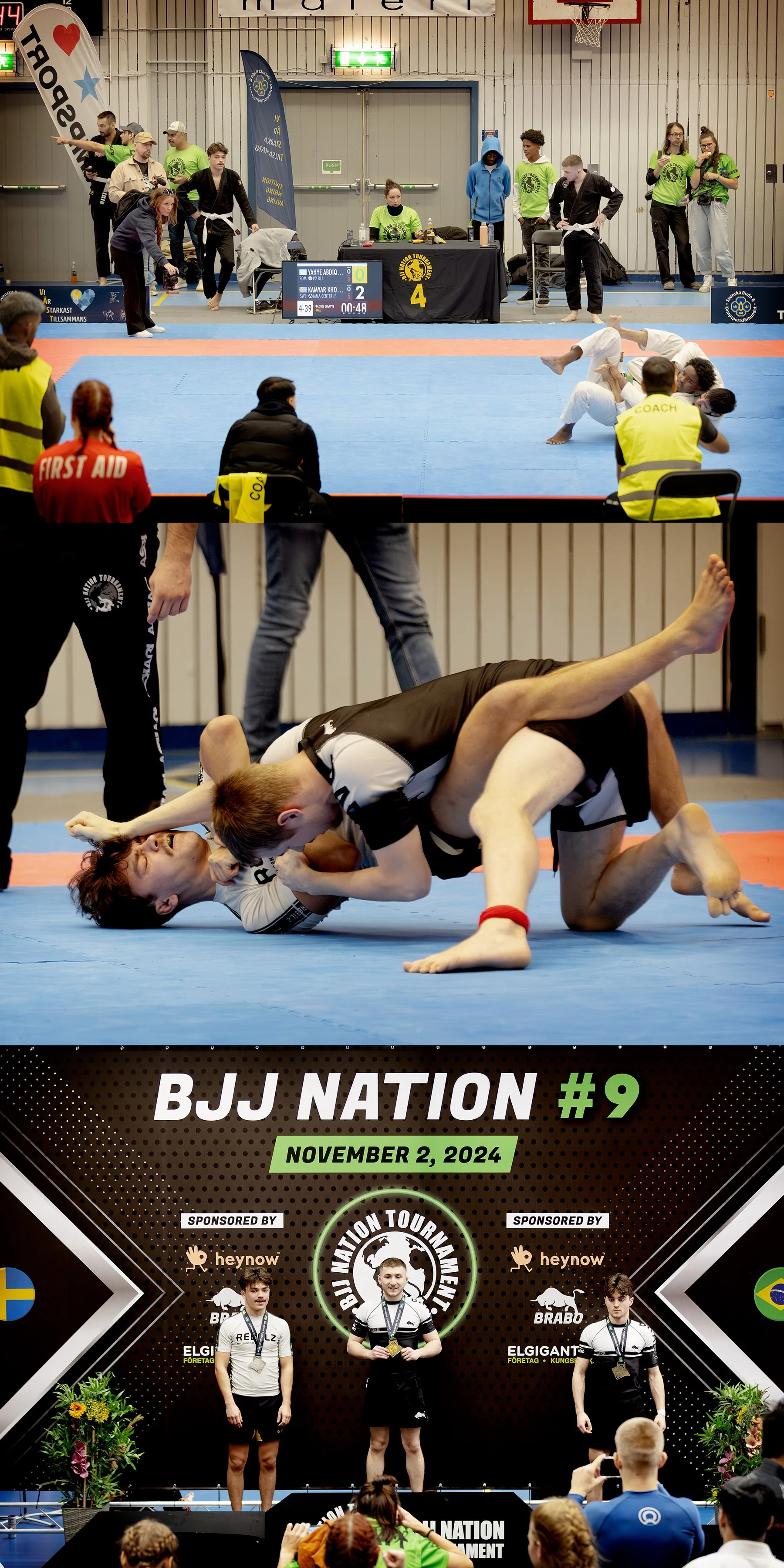 Brasiliansk jiu-jitsu